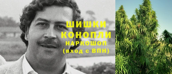 соль ск Кодинск