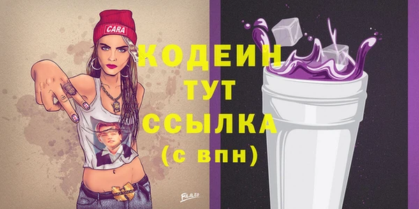 соль ск Кодинск