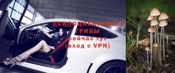 соль ск Кодинск