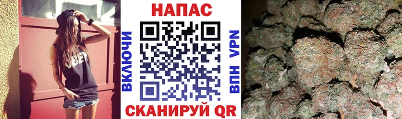 Бошки марихуана конопля Суздаль